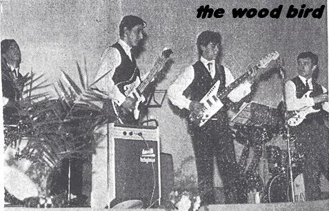 The Wood Bird
